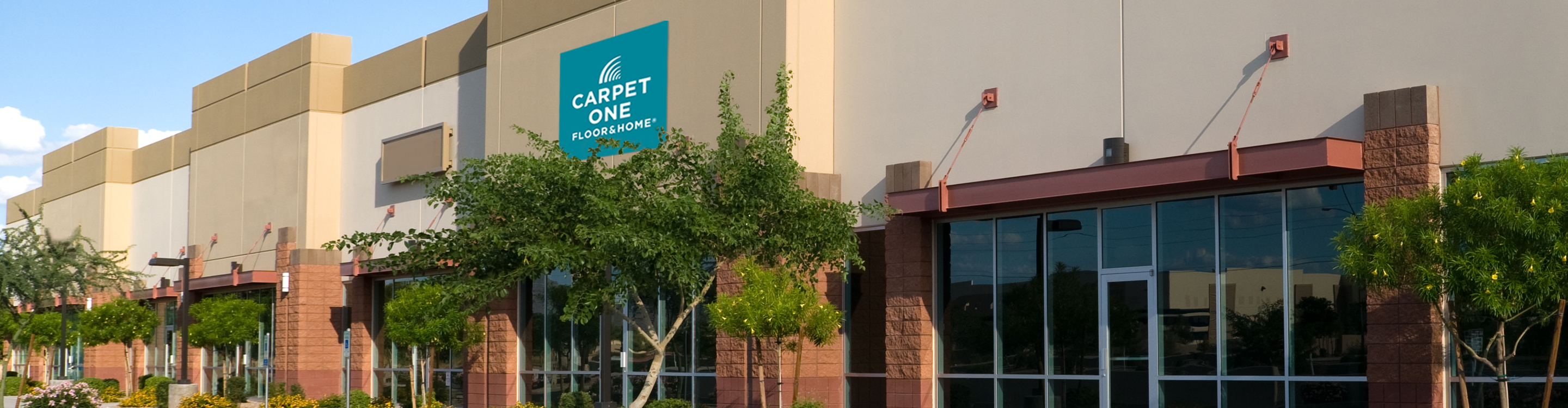Carpet One Store 